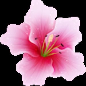 Meet your Posher, Brinae